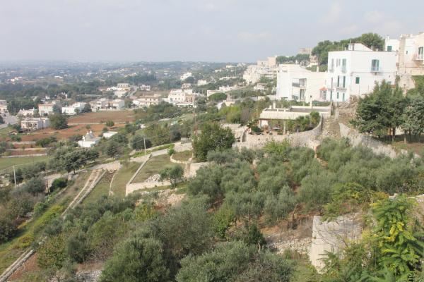 Visita guidata a Cisternino nella Valle d'Itria, panoramica sulla Valle d'itria