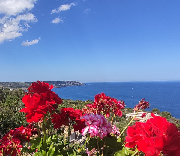 Innamorati del Salento -  Visite guidate e percorsi romantici