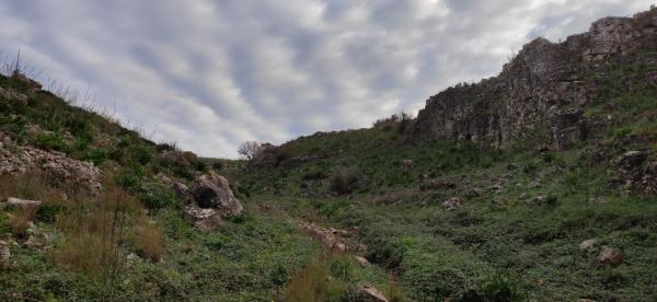 Salento guide turistiche: Visita guidata e passeggiata naturalistica tra i canaloni carsici il Reale e l'Universo a Matino