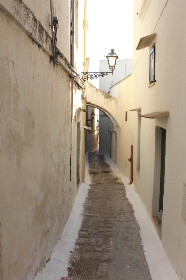 Salento guide turistiche: Visita guidata e passeggiata naturalistica tra i canaloni carsici il Reale e l'Universo a Matino