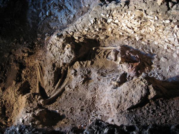 Visita guidata a ostuni, la donna di Ostuni a Santa Maria d'Agnano