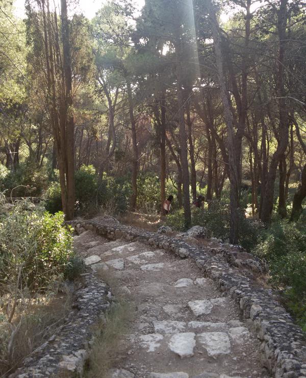 passeggiata naturalistica a Porto Selvaggio