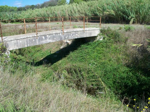 Visite guidata - Otranto da scoprire: la valle dell'Idro