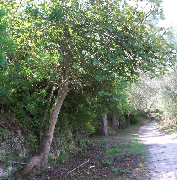 Visite guidata - Otranto da scoprire: la valle dell'Idro