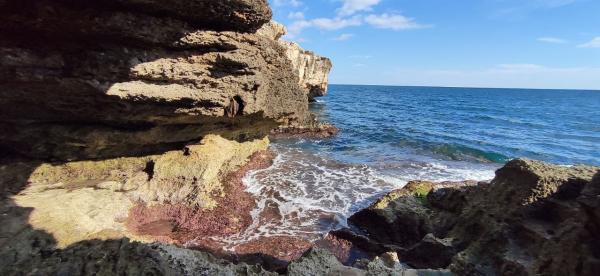 Passeggiata naturalistica dalla Grotta verde a Torre del Sasso