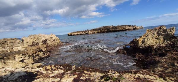 Passeggiata naturalistica dalla Grotta verde a Torre del Sasso