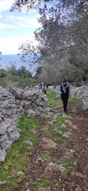 Passeggiata naturalistica dalla Grotta verde a Torre del Sasso