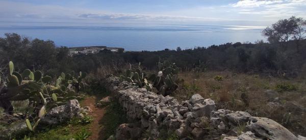 Passeggiata naturalistica dalla Grotta verde a Torre del Sasso