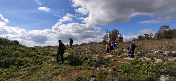 Passeggiata naturalistica dalla Grotta verde a Torre del Sasso