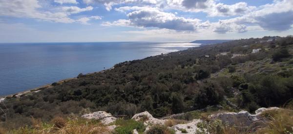 Passeggiata naturalistica dalla Grotta verde a Torre del Sasso