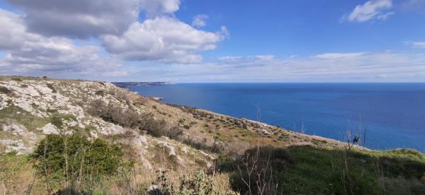 Passeggiata naturalistica dalla Grotta verde a Torre del Sasso