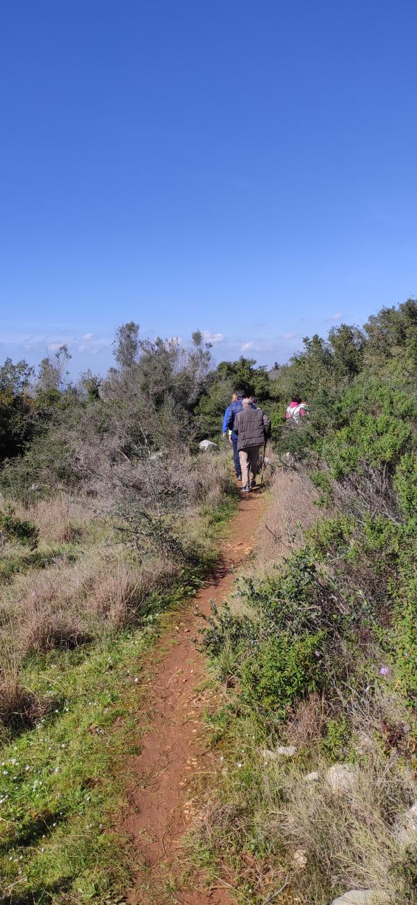 Passeggiata culturale: Il SS. Crocefisso e il Menanthol 