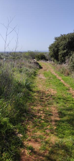 Passeggiata naturalistica sulla collina di Sant'Eleuterio a Matino