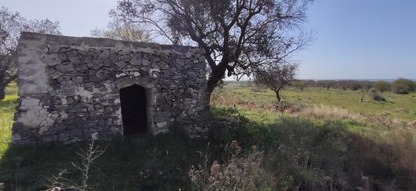 Passeggiata naturalistica sulla collina di Sant'Eleuterio a Matino