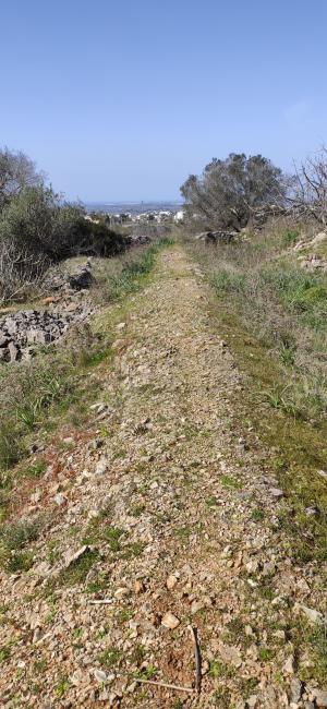 Passeggiata naturalistica sulla collina di Sant'Eleuterio a Matino