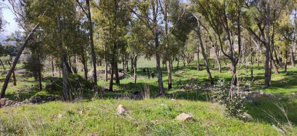 Passeggiata naturalistica sulla collina di Sant'Eleuterio a Matino