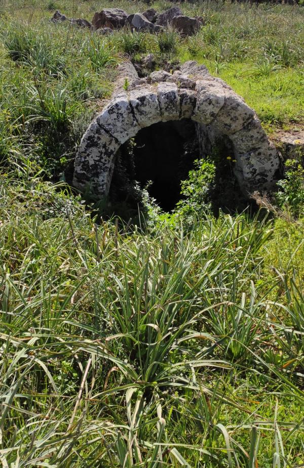 Passeggiata naturalistica sulla collina di Sant'Eleuterio a Matino