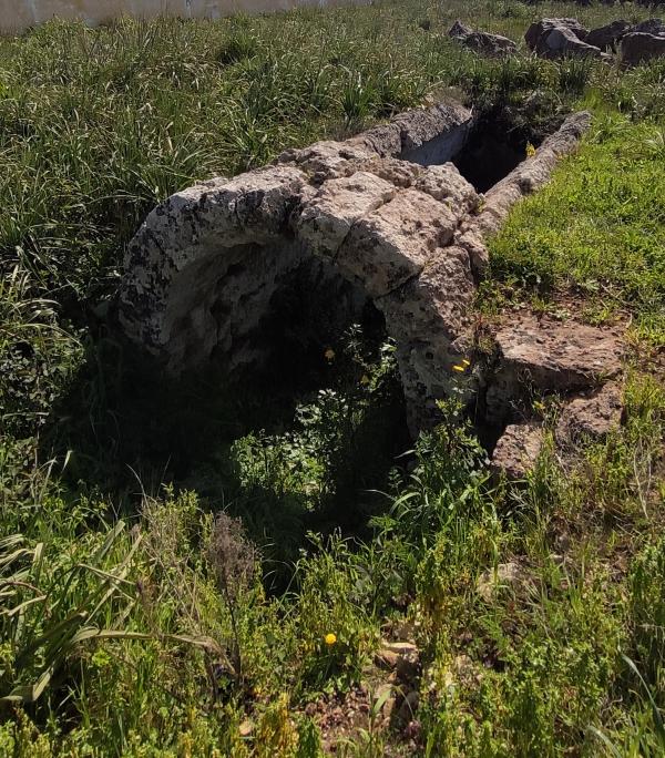 Passeggiata naturalistica sulla collina di Sant'Eleuterio a Matino