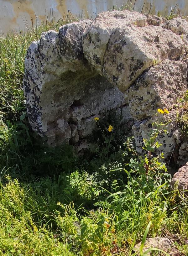 Passeggiata naturalistica sulla collina di Sant'Eleuterio a Matino