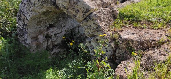 Passeggiata naturalistica sulla collina di Sant'Eleuterio a Matino