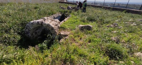 Passeggiata naturalistica sulla collina di Sant'Eleuterio a Matino