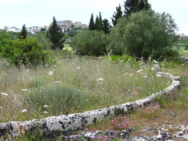 Passeggiata naturalistica nel villaggio rupestre di Macurano - Alessano