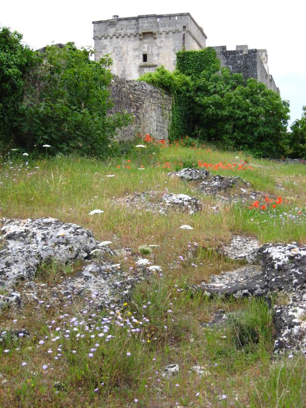 Passeggiata naturalistica nel villaggio rupestre di Macurano - Alessano