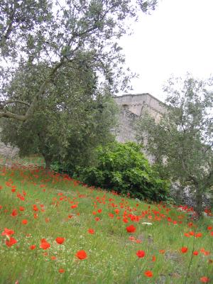 Passeggiata naturalistica nel villaggio rupestre di Macurano - Alessano