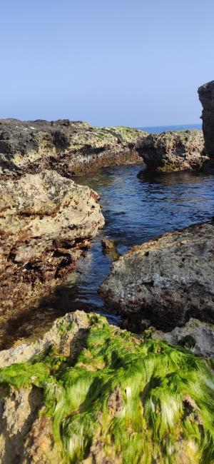 Passeggiata naturalistica lungo la baia di Otranto