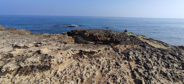 Passeggiata naturalistica lungo la baia di Otranto