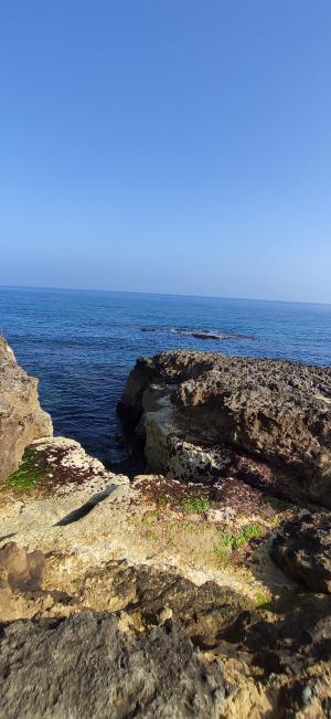 Passeggiata naturalistica lungo la baia di Otranto