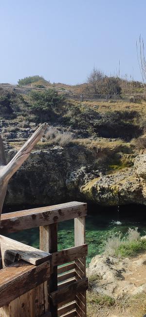 Passeggiata naturalistica lungo la baia di Otranto