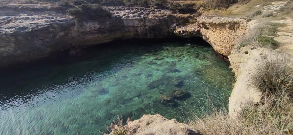 Passeggiata naturalistica lungo la baia di Otranto