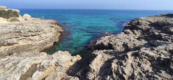 Passeggiata naturalistica lungo la baia di Otranto