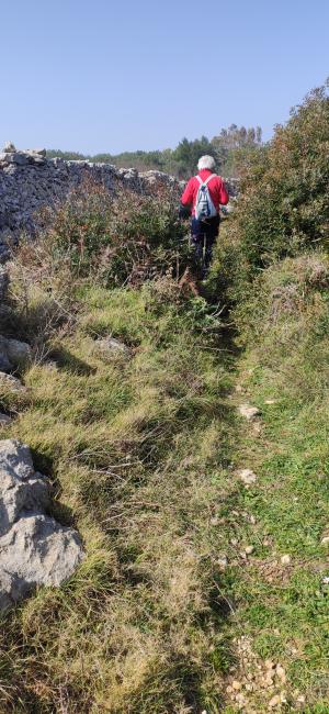 Passeggiata naturalistica lungo la baia di Otranto