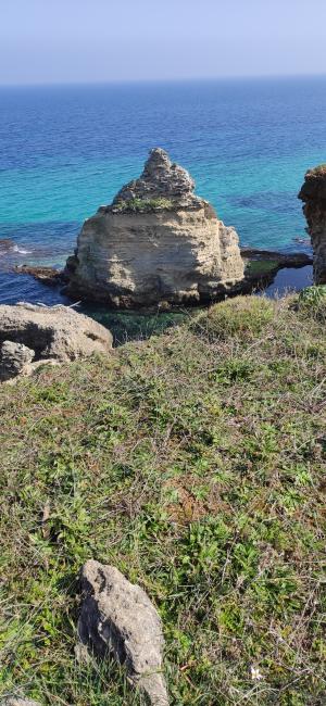 Passeggiata naturalistica lungo la baia di Otranto