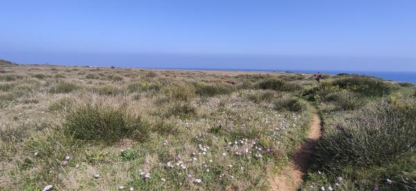 Passeggiata naturalistica lungo la baia di Otranto