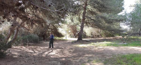 Passeggiata naturalistica da Santa Cesarea a Porto Miggiano