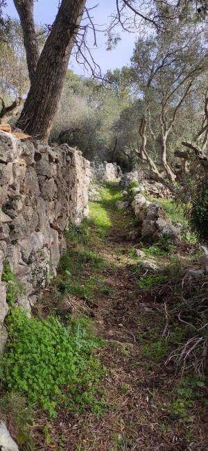 Trekking Acquaviva di Diso