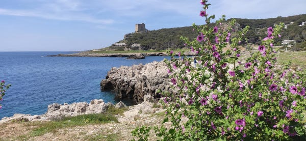 Passeggiata naturalistica a Porto Selvaggio