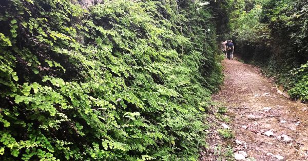 trekking nella Valle dell'Idro