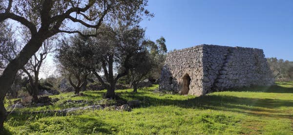 Trekking nella campagna