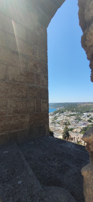 Visita a Castro