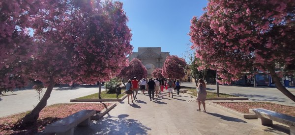 Visita guidata a Lecce per scuole