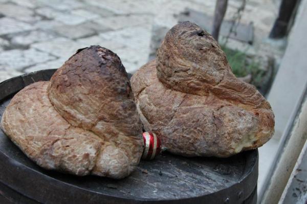 degustazione guidata del pane DOP a Altamura