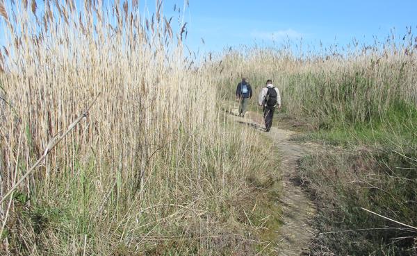 Trekking nel Parco naturale Litorale di Ugento