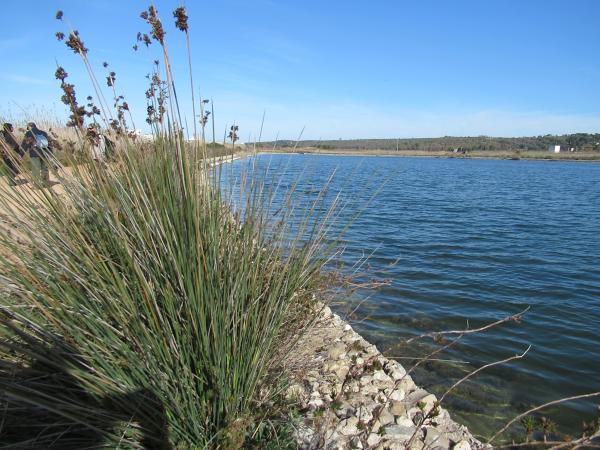 Trekking nel Parco naturale Litorale di Ugento