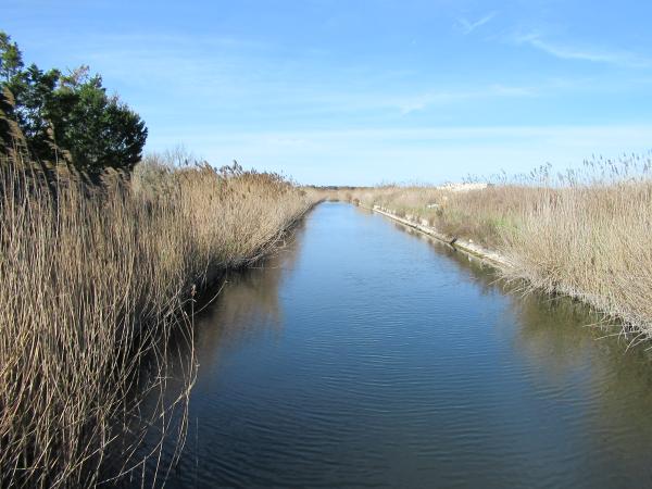 Trekking nel Parco naturale Litorale di Ugento