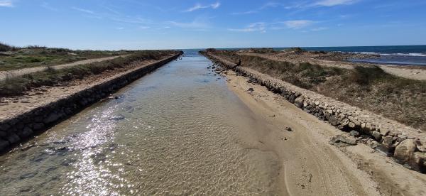 Trekking nel Parco naturale Litorale di Ugento