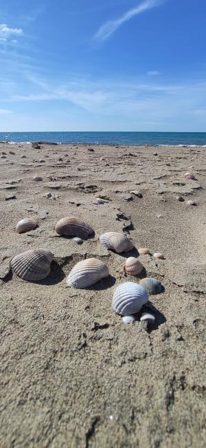 Trekking nel Parco naturale Litorale di Ugento